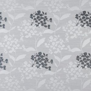 Hydrangea Sterling